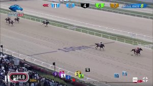 【競馬/コリアC】ロンドンタウン強すぎ。武豊クリソライト2着