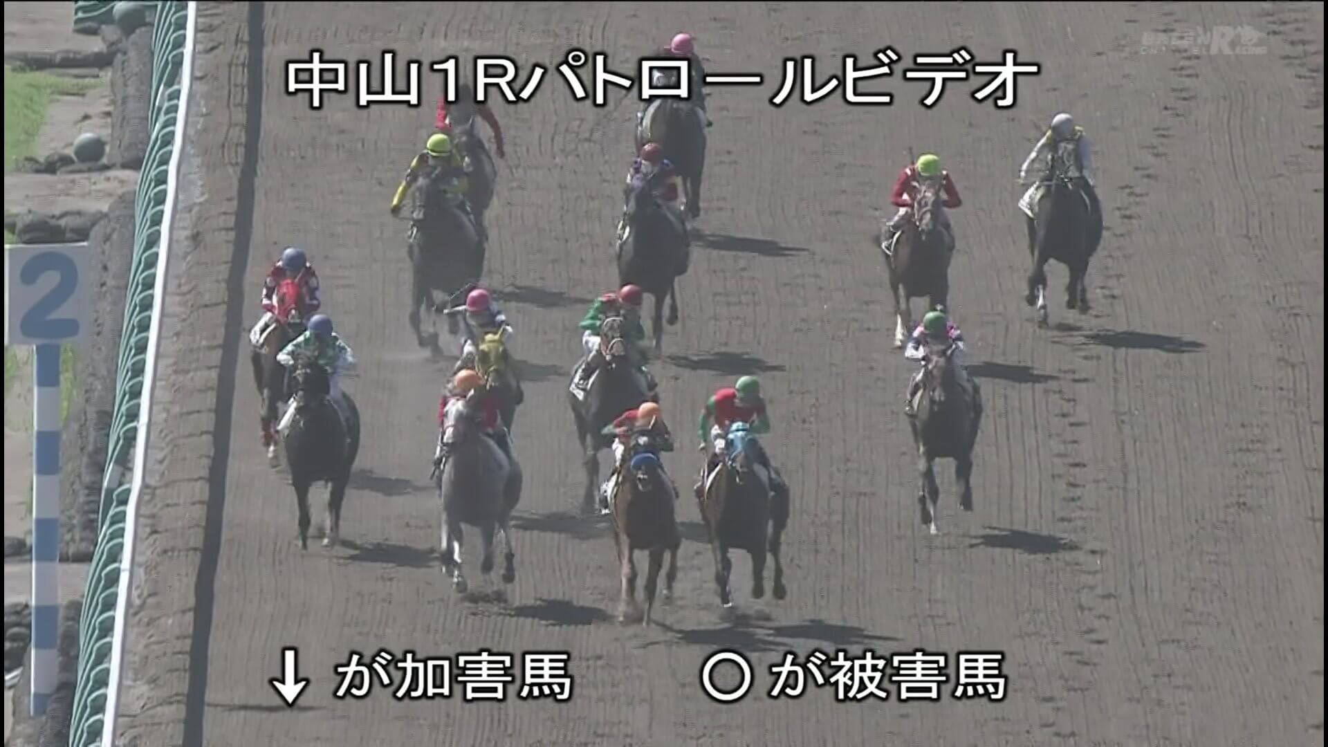 【競馬】今日の中山1R珍しく審議で順位変更ありそうだな