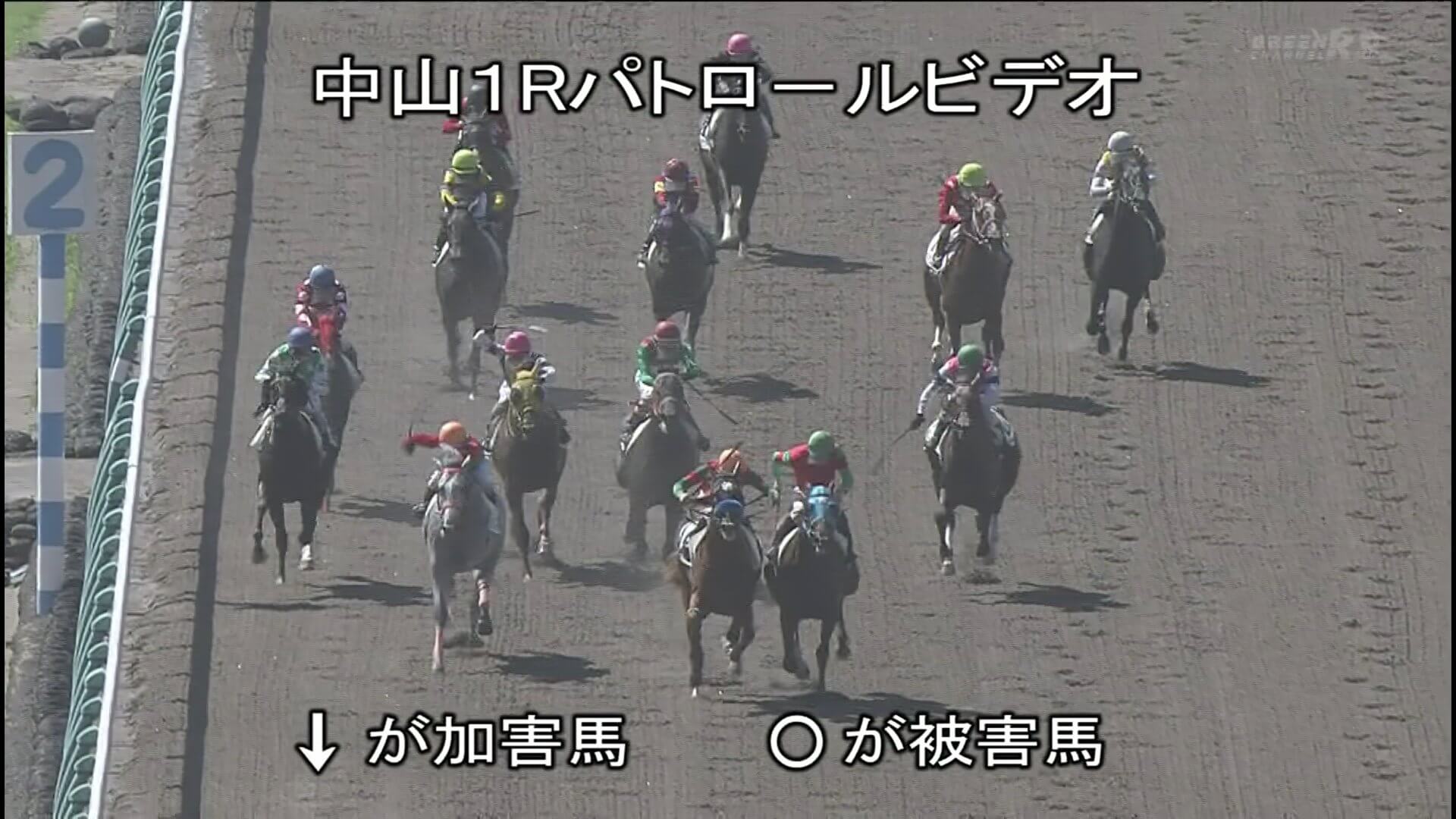 【競馬】今日の中山1R珍しく審議で順位変更ありそうだな