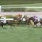 【競馬】重度のノド鳴りを克服！トゥザクラウンが未勝利勝ち！！！
