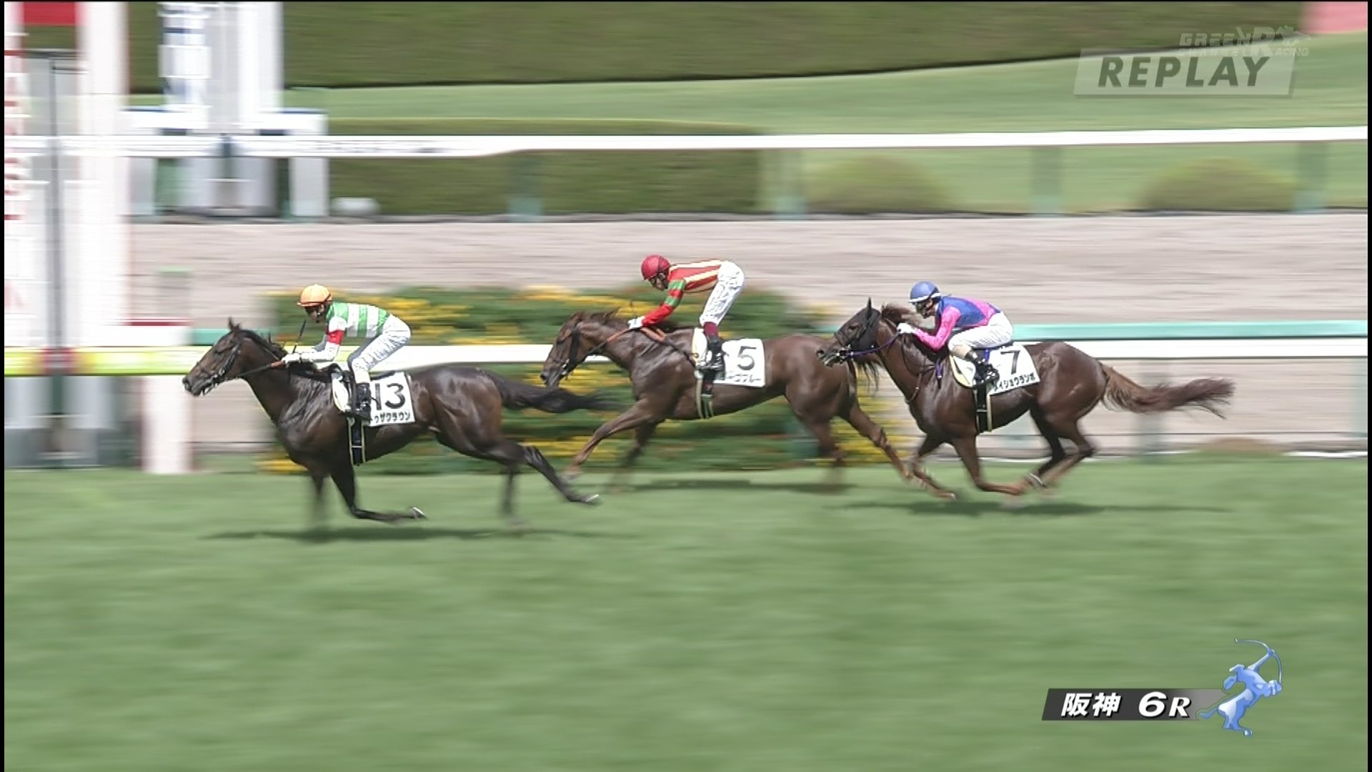 【競馬】重度のノド鳴りを克服！トゥザクラウンが未勝利勝ち！！！