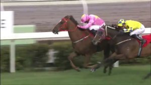 【競馬/スプリンターズS】外国馬唯一参戦のブリザードについて知ってること 【競馬/スプリンターズS】外国馬唯一参戦のブリザードについて知ってること