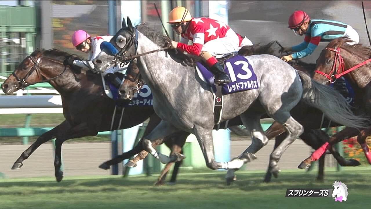【競馬】レッドファルクス、次走２・２５阪急杯　川田と初コンビ デムーロが中山で騎乗のため