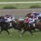 【競馬】武豊が下手すぎる件。阪神10Rウォータービルドを4着に飛ばす