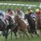 【競馬/2歳新馬】キーファーズさんまた詐欺られた模様