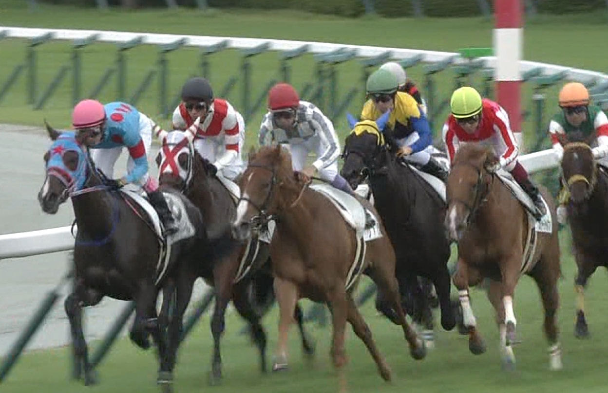 【競馬】お前らキーファーズから凱旋門賞馬候補が出たぞ！良血ディープ産駒がフランスデビュー快勝！