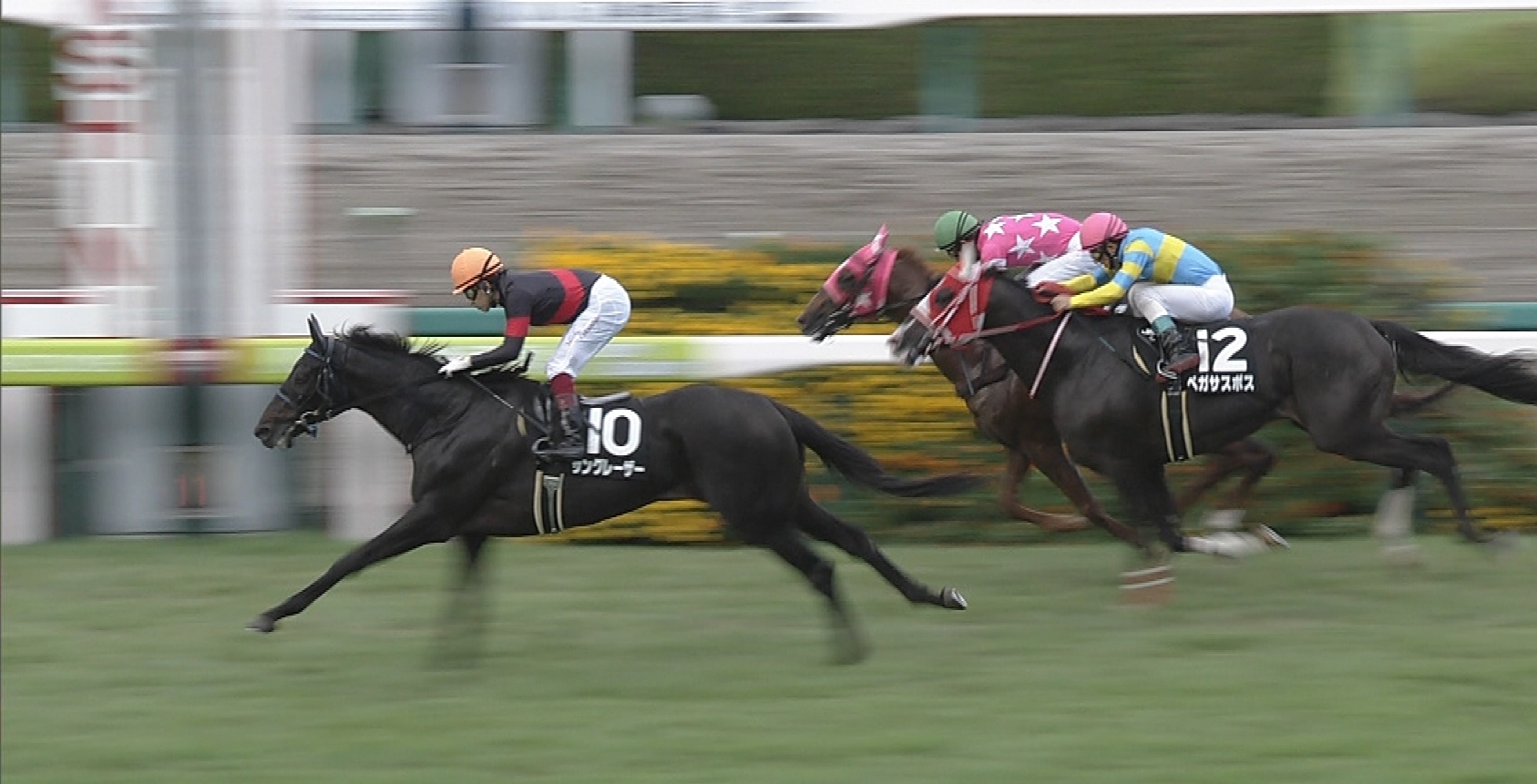 【競馬/マイルCS】サングレーザー3倍台の一番人気ｗｗｗｗｗｗｗｗｗｗ