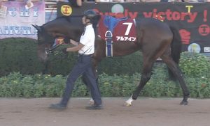 【競馬/セントライト記念】アルアイン＋１０ｋｇｗｗｗｗｗｗｗｗｗｗｗｗ
