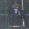【競馬】断言する。セントライト記念でルメールは絶対やらかす