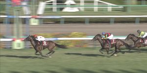 【競馬/セントライト記念】ミッキースワロー強すぎ世代ナンバーワンだろこれ