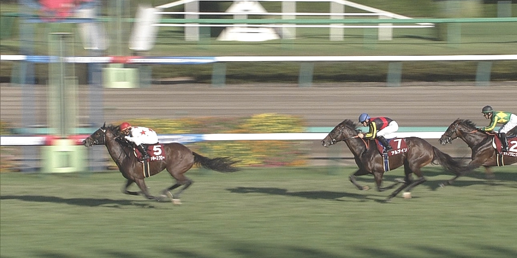 【競馬/セントライト記念】ミッキースワロー強すぎ世代ナンバーワンだろこれ