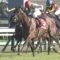 【競馬/ジャパンC】ミッキースワロー買うやつ理由は？