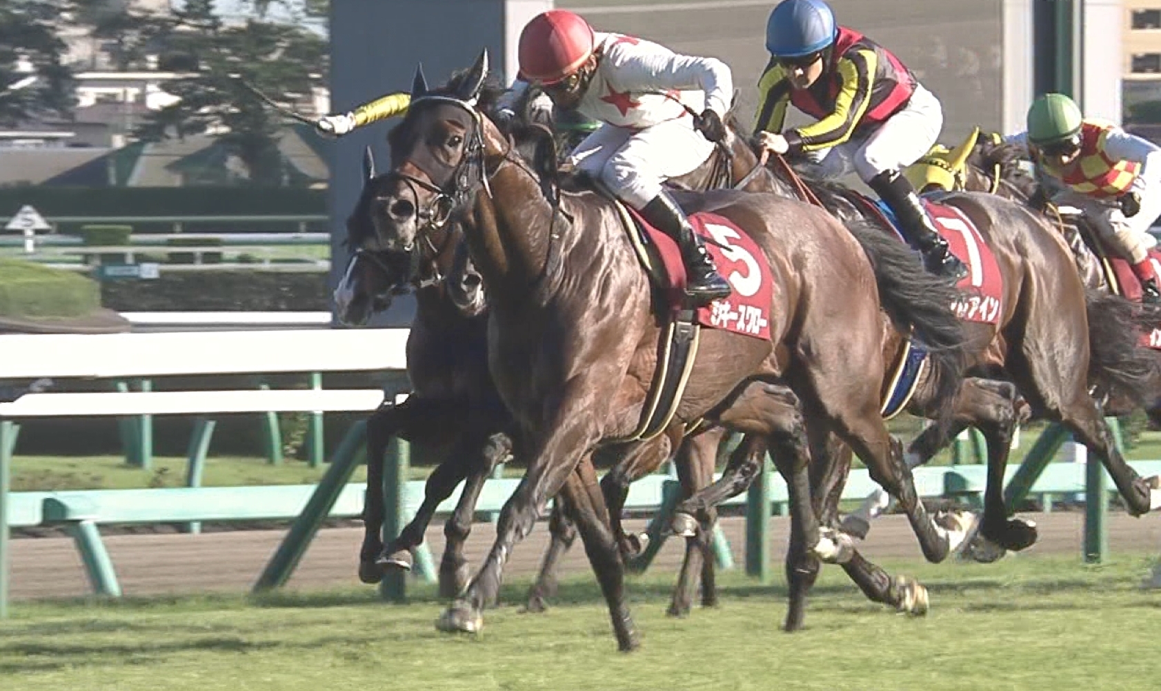 【競馬/菊花賞】ミッキースワロー前走はモーリスのダービー郷以来の衝撃を受けたよな 【競馬/菊花賞】ミッキースワロー前走はモーリスのダービー郷以来の衝撃を受けたよな