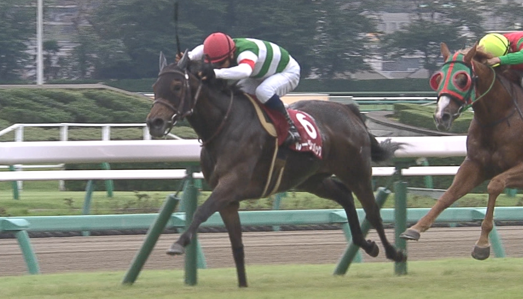 【競馬】今思えばルージュバックって凄かったよな