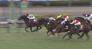 【競馬/オールカマー】戸崎圭太さんから開放されたルージュバックｗｗｗｗｗｗｗｗ
