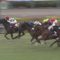 【競馬/オールカマー】戸崎、パドックで誤ってルージュバックの元へ向かおうとしていた