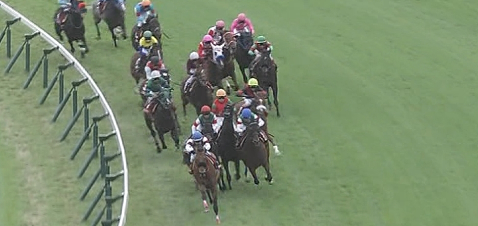 【競馬】netkeibaルージュバック掲示板が真面目に気持ち悪い件