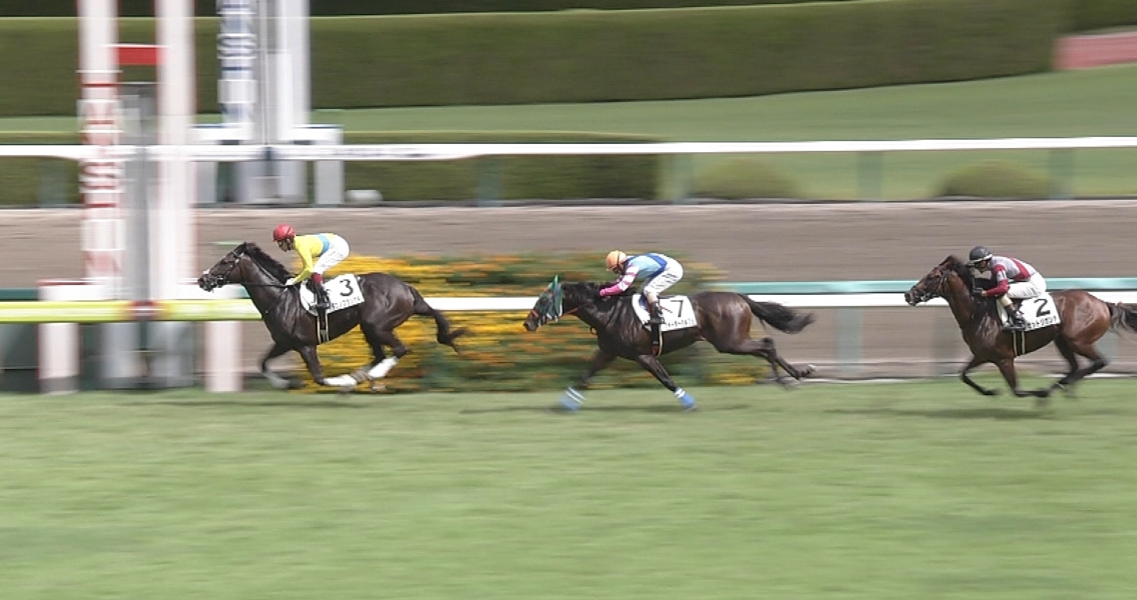 【競馬】タニノフランケル次走アイビーSも福永wwwwwあれ?デムーロは? 【競馬】タニノフランケル次走アイビーSも福永wwwwwあれ?デムーロは?