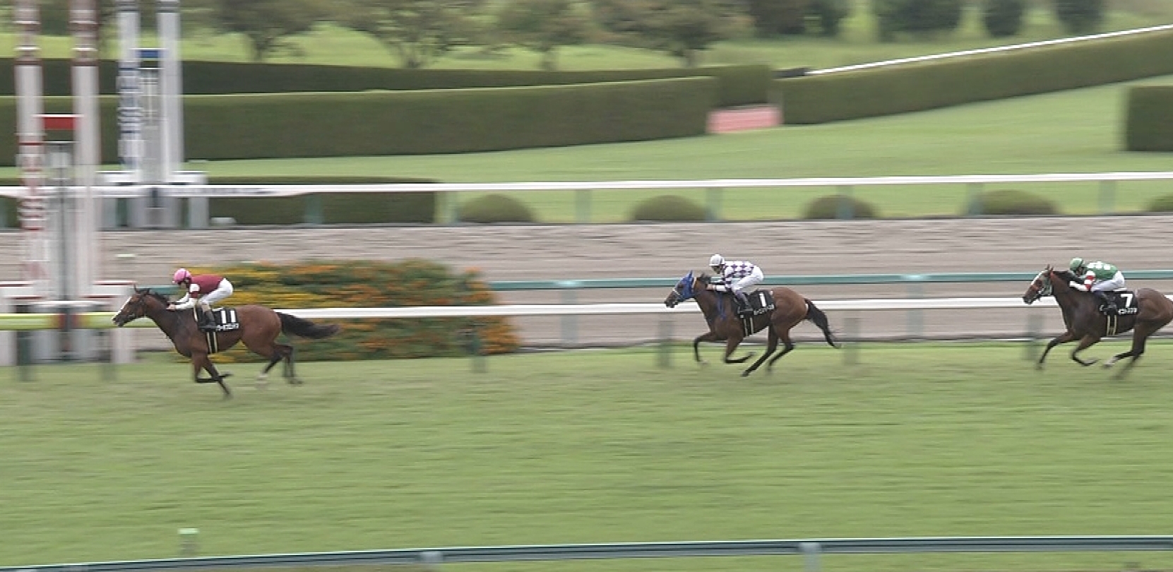 【競馬/東京新聞杯】タワーオブロンドン 前売り 単９番人気２０倍ワロタｗｗｗｗｗｗｗｗｗｗｗｗｗｗｗｗｗｗｗｗｗ