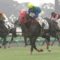 【競馬/2歳新馬】スターホース誕生トーセンブレス。ハープスター級の末脚炸裂