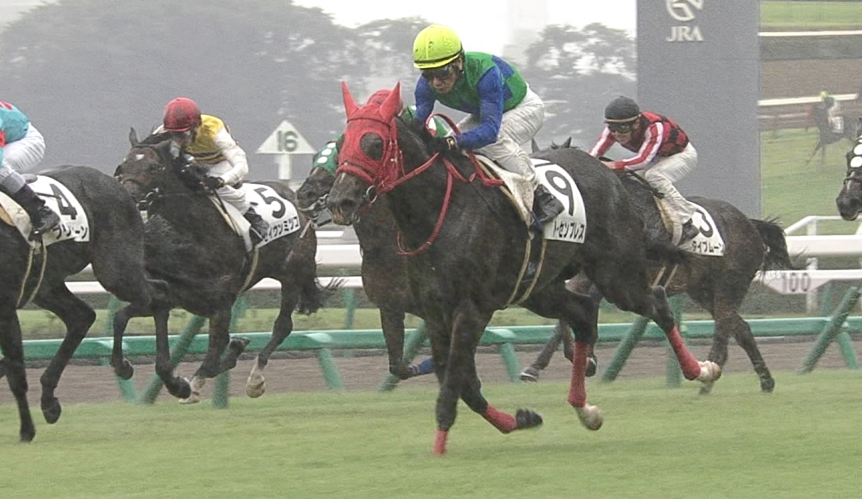 【競馬/桜花賞】トーセンブレス人気なさ過ぎだろ