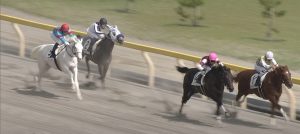 【競馬】ハウナニちゃんが負けたのは・・・理由があります！