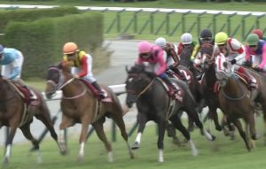 【競馬/ローズS】ファンディーナ弱すぎﾜﾛﾀｗｗｗｗｗ
