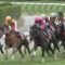 【競馬/ローズS】ファンディーナ弱すぎﾜﾛﾀｗｗｗｗｗ