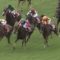 【競馬/ローズS】いっくん大外へワープでミリッサがハナ差4着で秋華賞の権利も逃す！！！！！