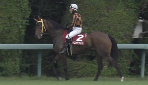 【競馬/ローズS】ファンディーナ+22ｗｗｗｗｗモズカッチャン+14ｗｗｗｗｗ