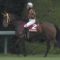 【競馬/エリ女】モズカッチャン勝利、ミルコ凄すぎワロタｗｗｗｗｗｗｗｗ