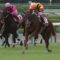 【競馬/ローズS】ラビットランの父タピットって誰だよｗｗｗｗｗｗｗｗｗｗｗｗ