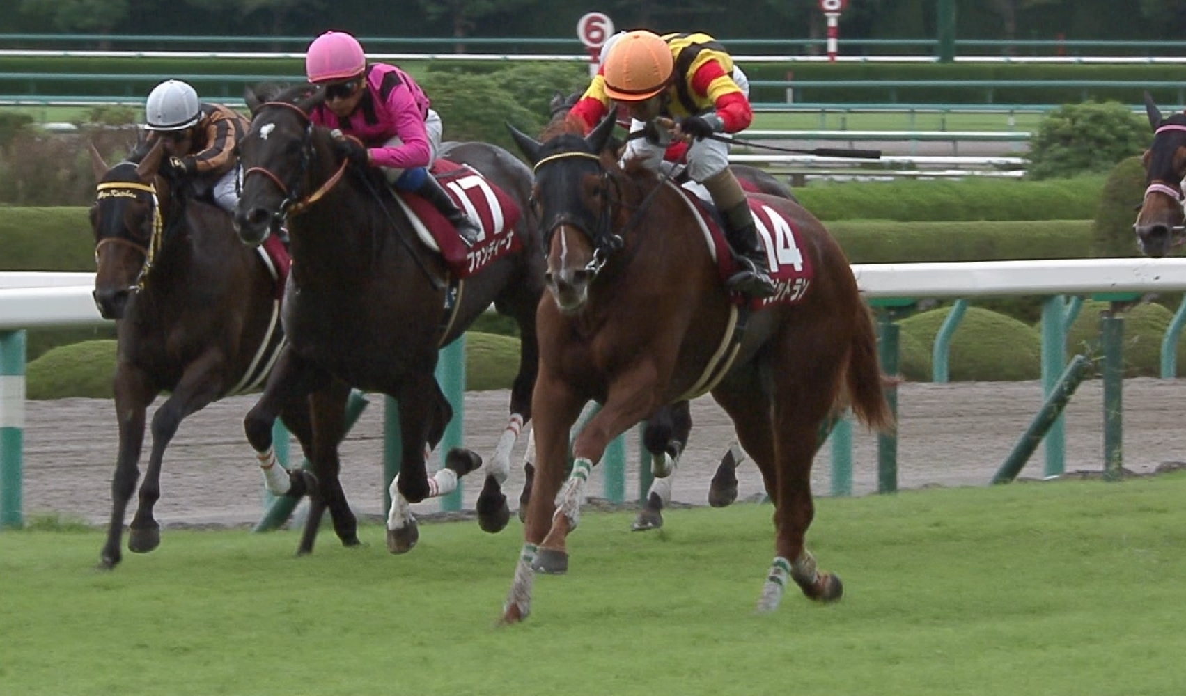 【競馬/ローズS】ラビットラン和田竜二怒りの差し切りｗｗｗｗｗｗ テイエムオペラオーの