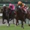 【競馬/秋華賞】もし和田さんが秋華賞勝ったらお前らどうする？【5番人気ラビットラン】