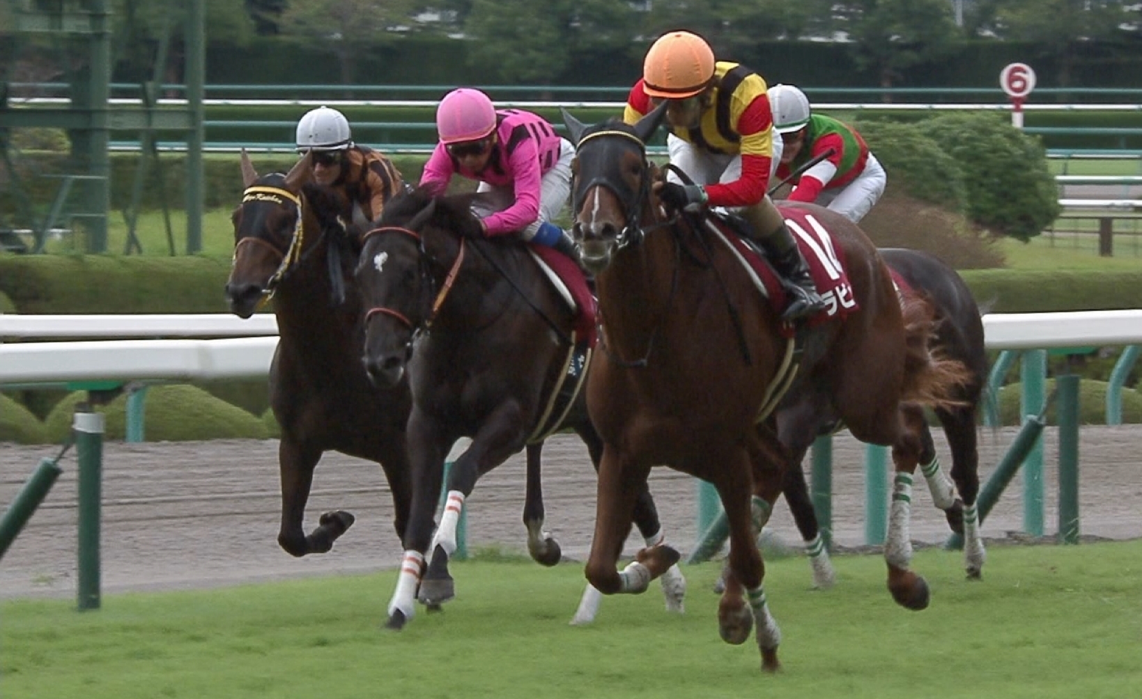 【地方競馬】今日のスパーキングレディーのラビットランは本当に鉄板なのか？