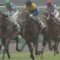 【競馬・ジャパンC】ワグネリアン大阪杯3着、札幌記念4着、秋天5着←JC1番人気？
