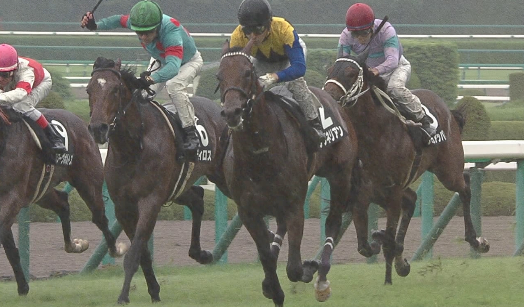 【競馬】お医者さん、来週ワグネリアン騎乗予定の福永にぶちギレ「もし落馬したらどうするんだん」 【競馬】お医者さん、来週ワグネリアン騎乗予定の福永にぶちギレ「もし落馬したらどうするんだん」
