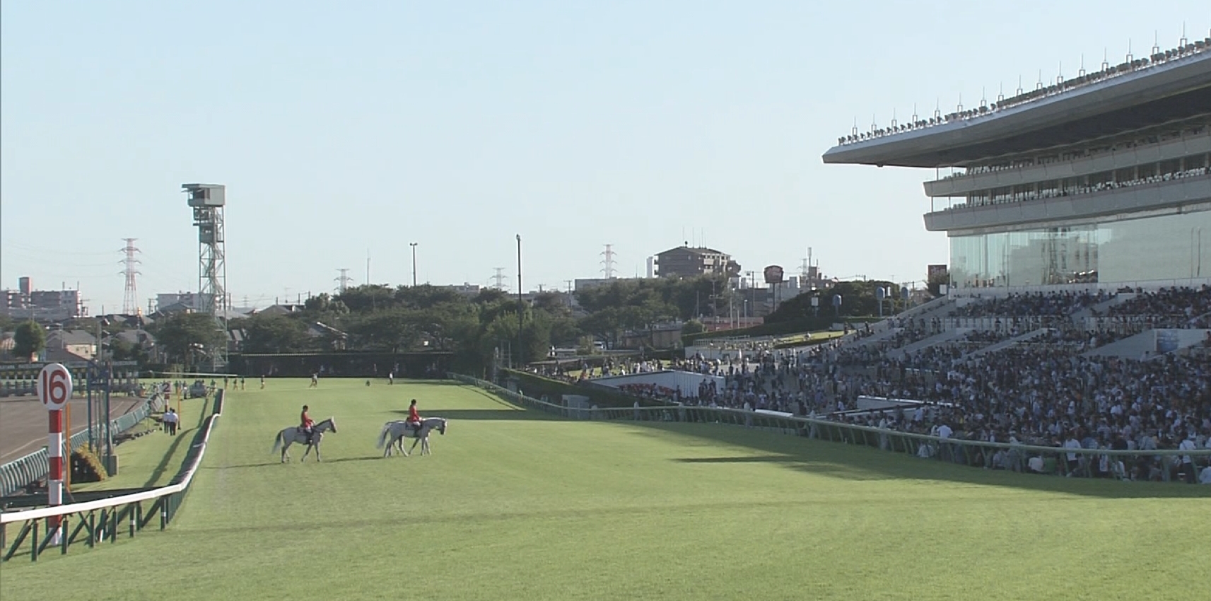 【競馬】超速報！今年の有馬記念は良馬場確定wwwwwwwwwww