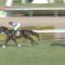 【競馬】グランシルク田辺の快勝で井崎修五郎が福永、戸崎を痛烈批判！
