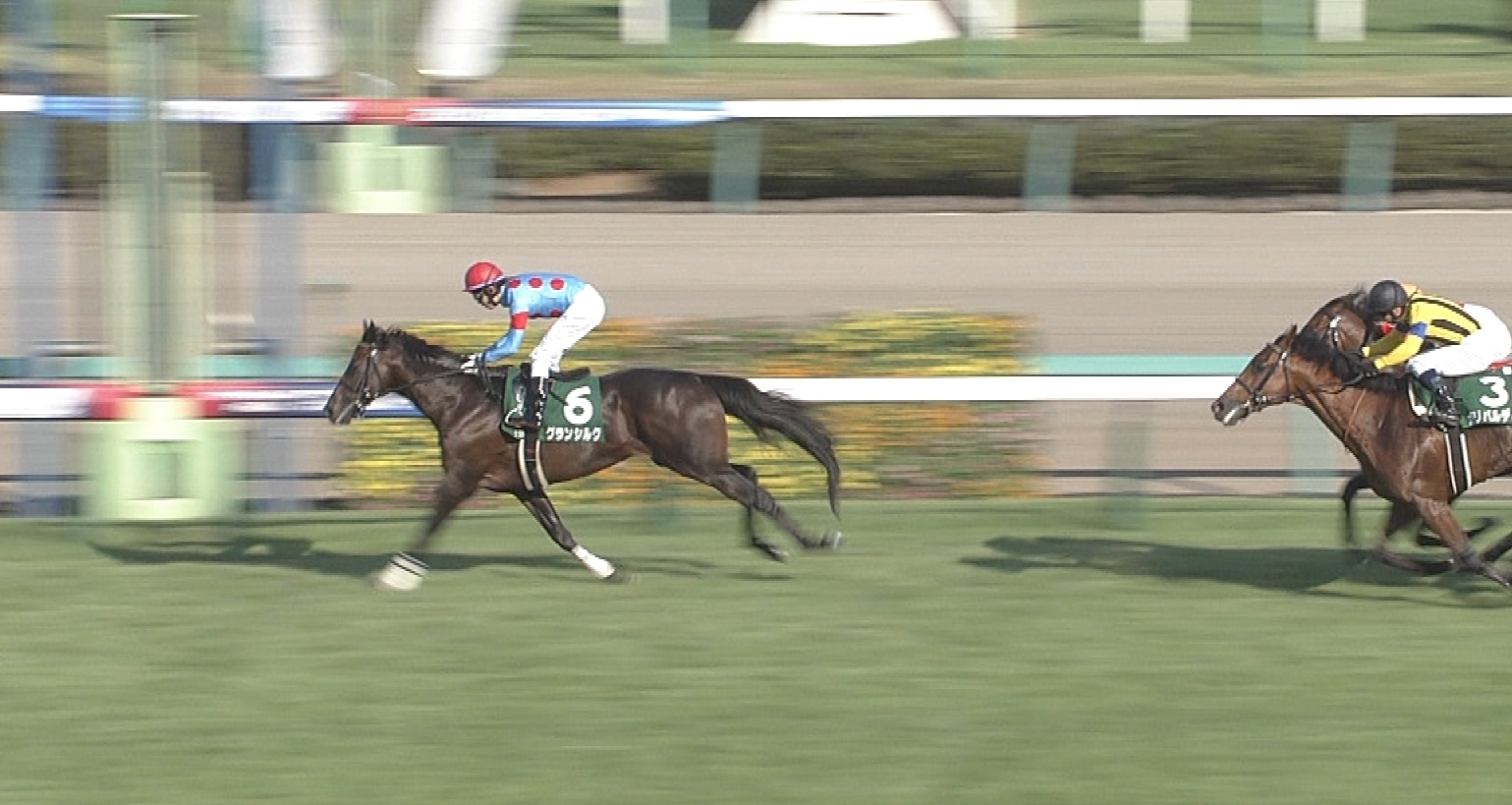 【競馬】グランシルク田辺の快勝で井崎修五郎が福永、戸崎を痛烈批判！