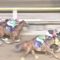 【競馬/JBCクラシック】おまえら内田さんがアポロケンタッキー降ろされてる事を何とも思わないのか？