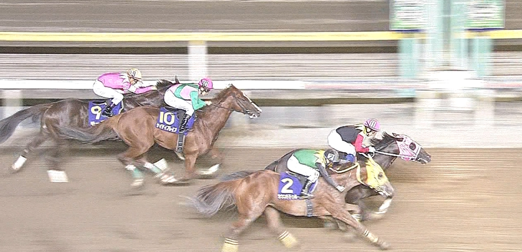 【競馬/チャンピオンズS】水上のお宝馬アポロケンタッキーが出走取り消し