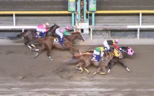 【競馬/日本テレビ盃】戸崎圭太さんさすがです!ありがとうございます! 【競馬/日本テレビ盃】戸崎圭太さんさすがです!ありがとうございます!