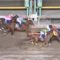 【競馬/日本テレビ盃】戸崎圭太さんさすがです！ありがとうございます！
