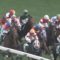 【競馬/札幌2歳S】クリノクーニング鞍上・北村友一ｗｗｗｗｗｗｗｗｗｗｗｗ