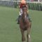 【競馬】なぜオルフェーヴルは種牡馬としても大成功したのか？