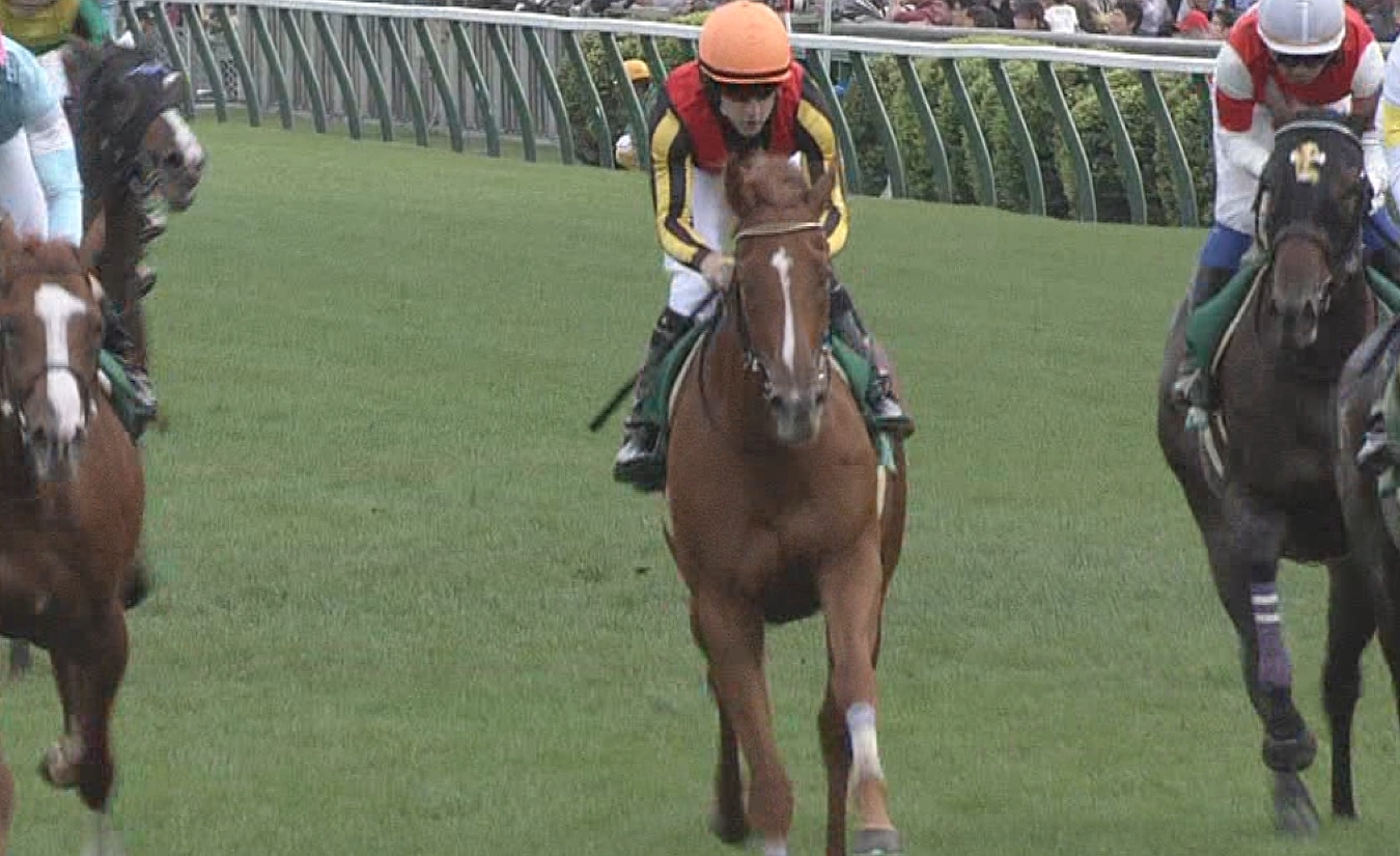 【競馬/札幌2歳S】オルフェーヴル産駒重賞初制覇ｗｗｗｗｗｗｗｗｗ