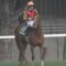 【競馬】ルメール「函館は直線がとても短くて前を捕えるの大変。札幌は競馬がしやすい」