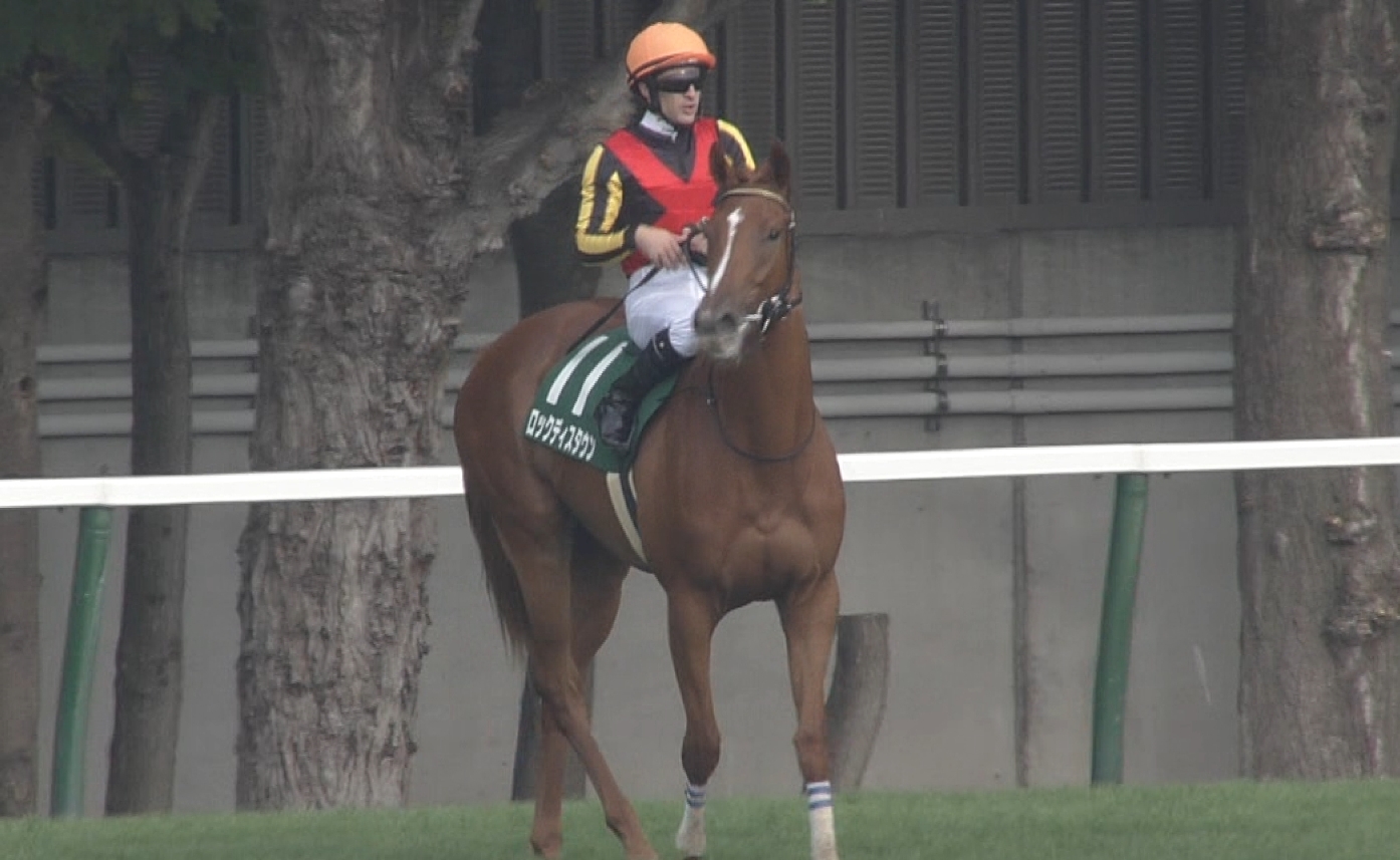 【競馬】ルメール日本語下手過ぎワロタwww