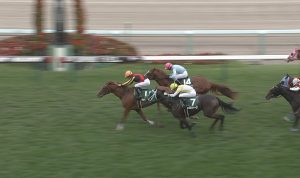 【競馬/札幌2歳S】ロックディスタウン強すぎワロタwwwwwwwww 【競馬/札幌2歳S】ロックディスタウン強すぎワロタwwwwwwwww
